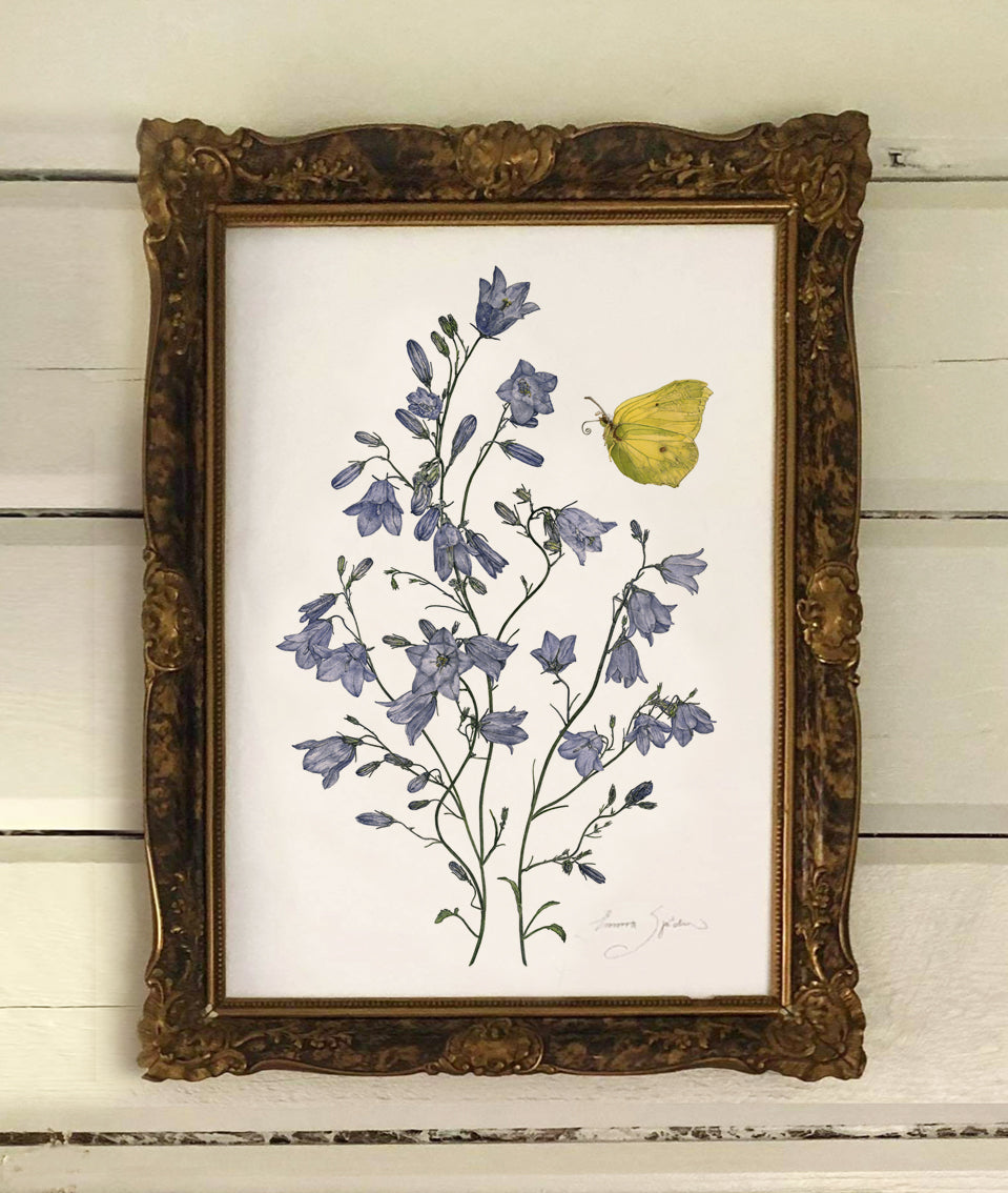 2-Piece Art Print Bellflower 30x40 & Lemon Butterfly 21x30