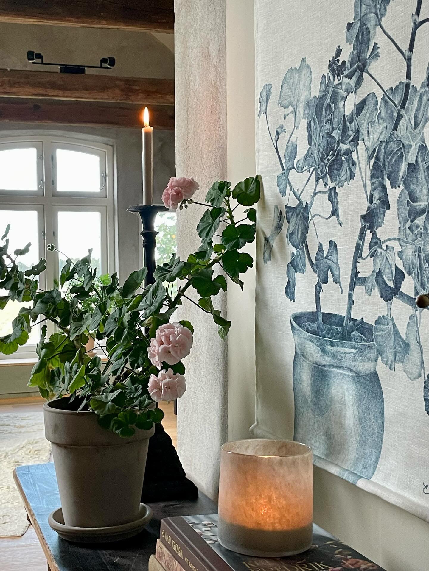 Wallhanging Blue Geranium