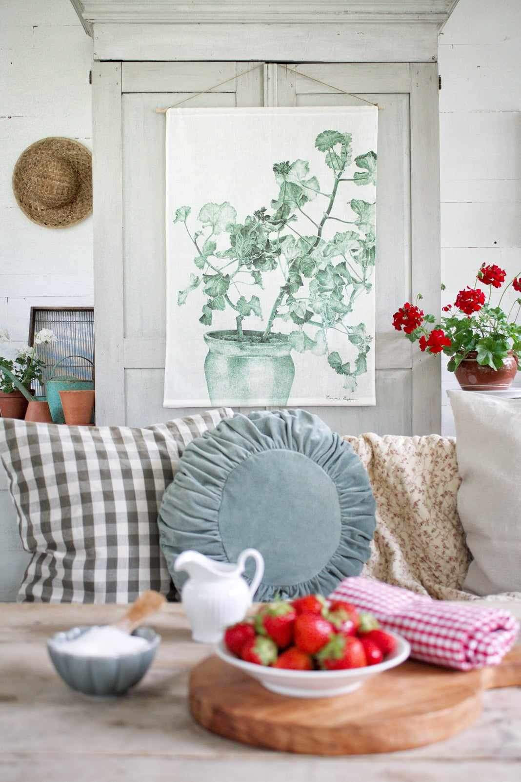 Wallhanging Green Geranium