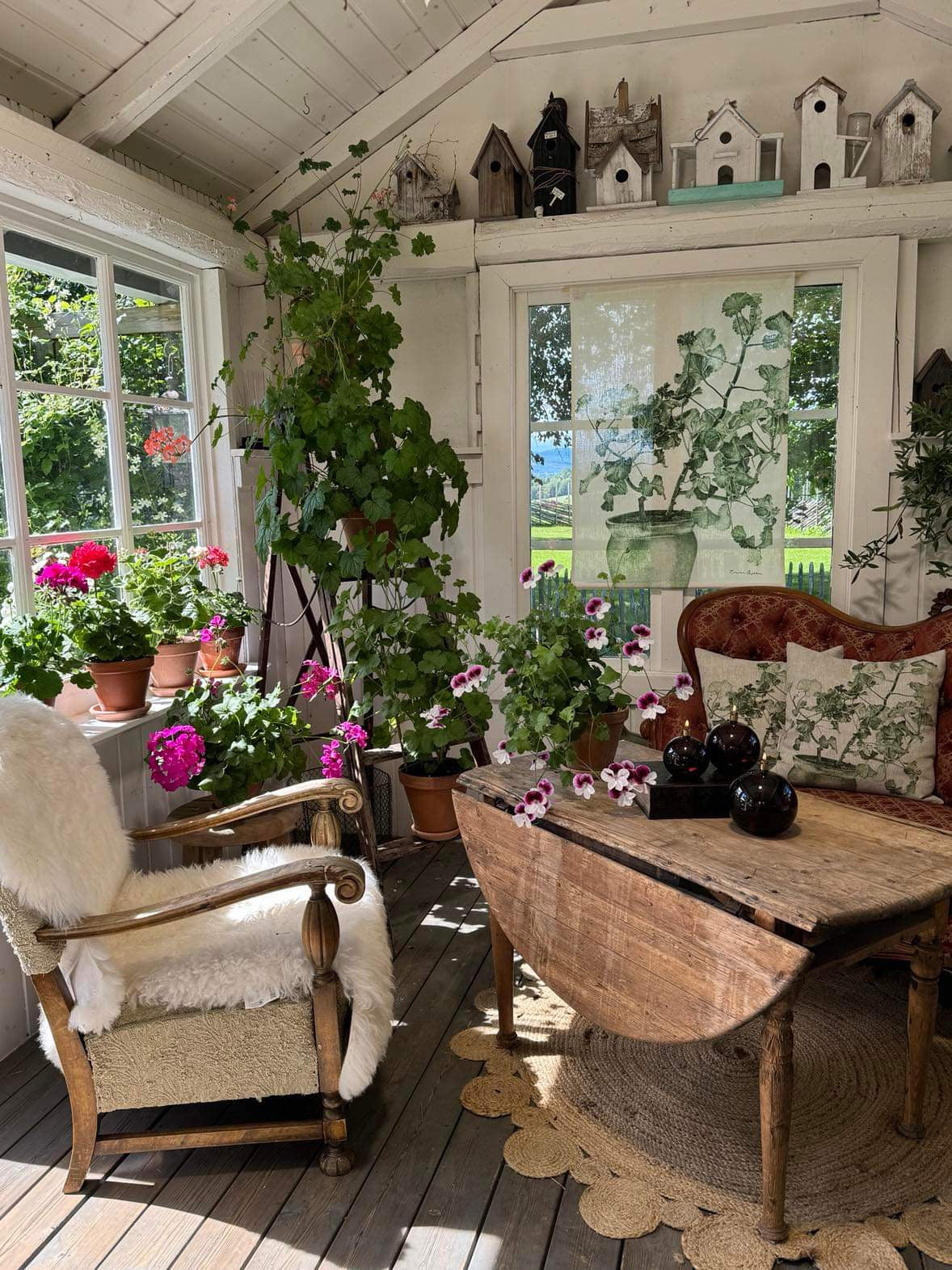 Wallhanging Green Geranium