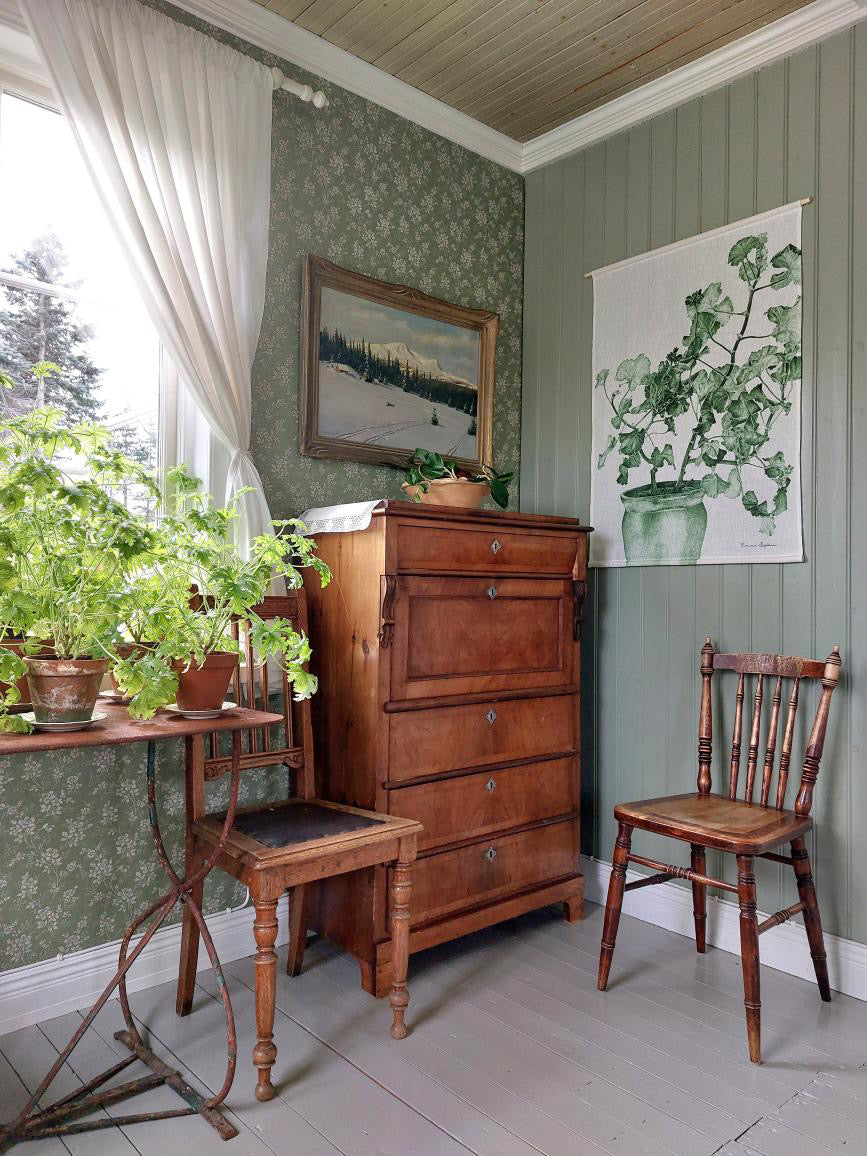 Wallhanging Green Geranium