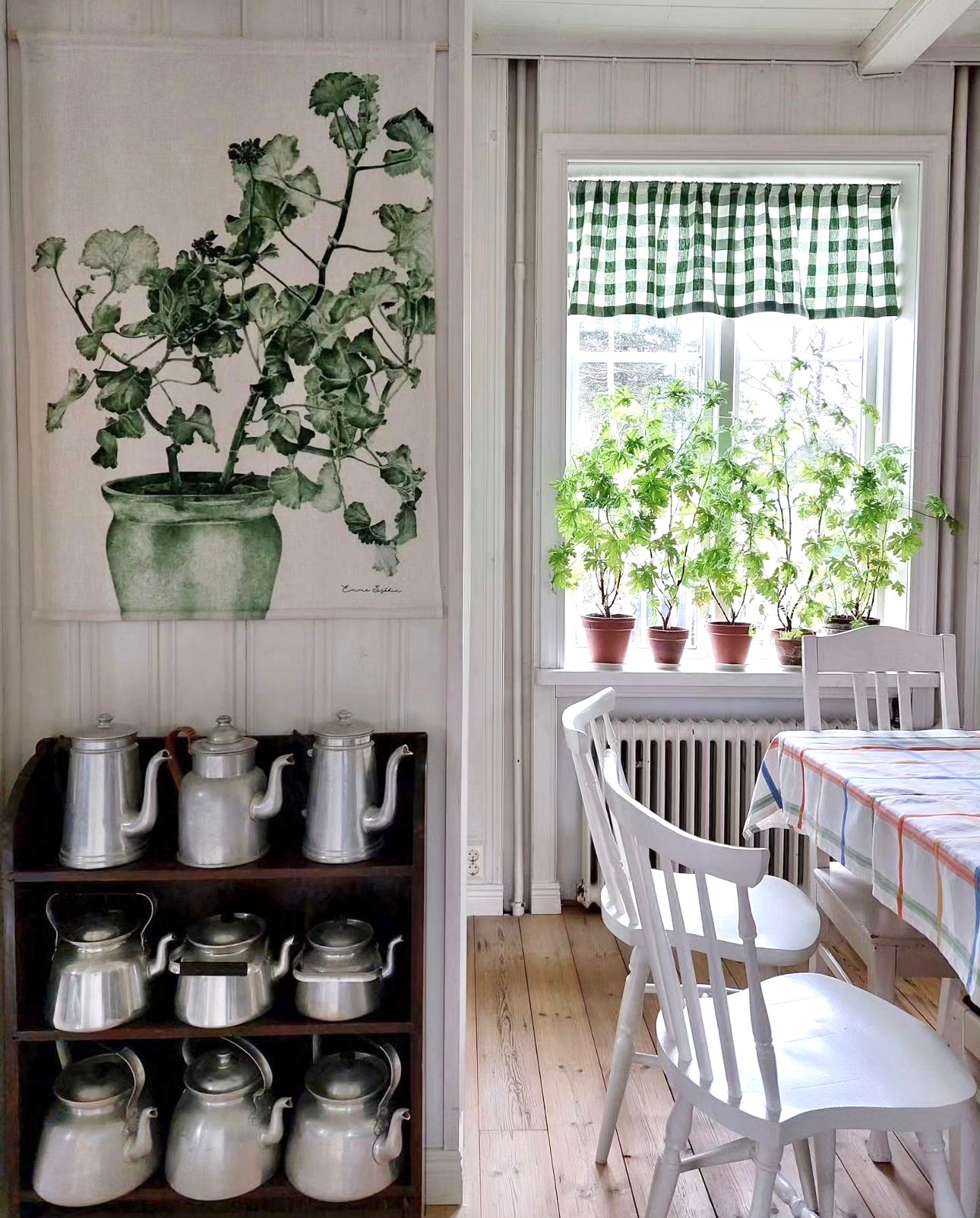 Wallhanging Green Geranium