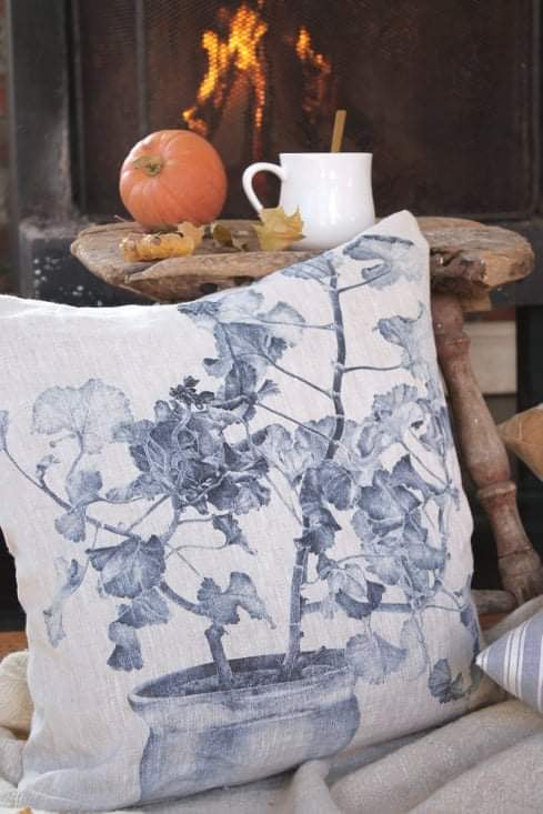 Cushion Geranium