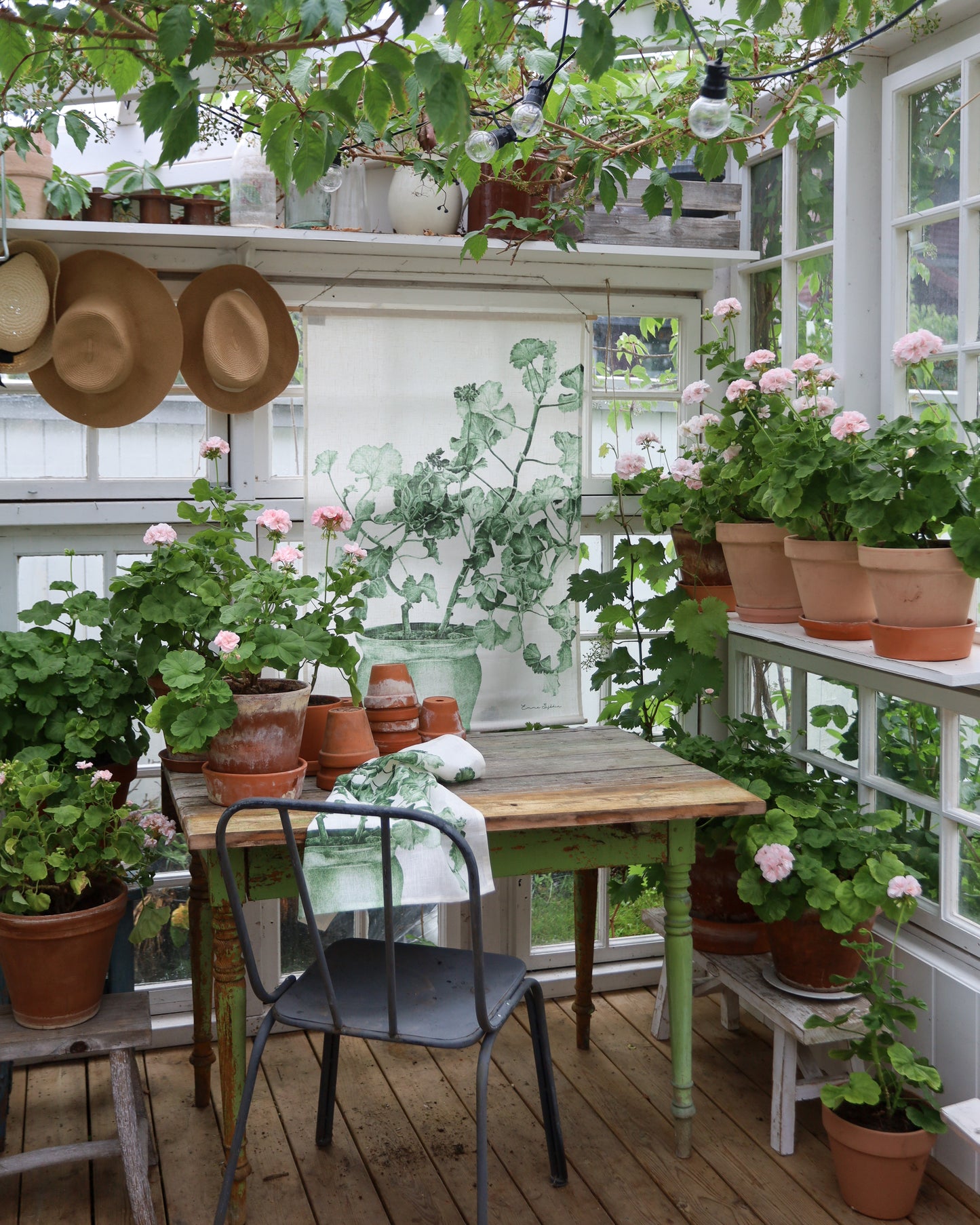 Wallhanging Green Geranium