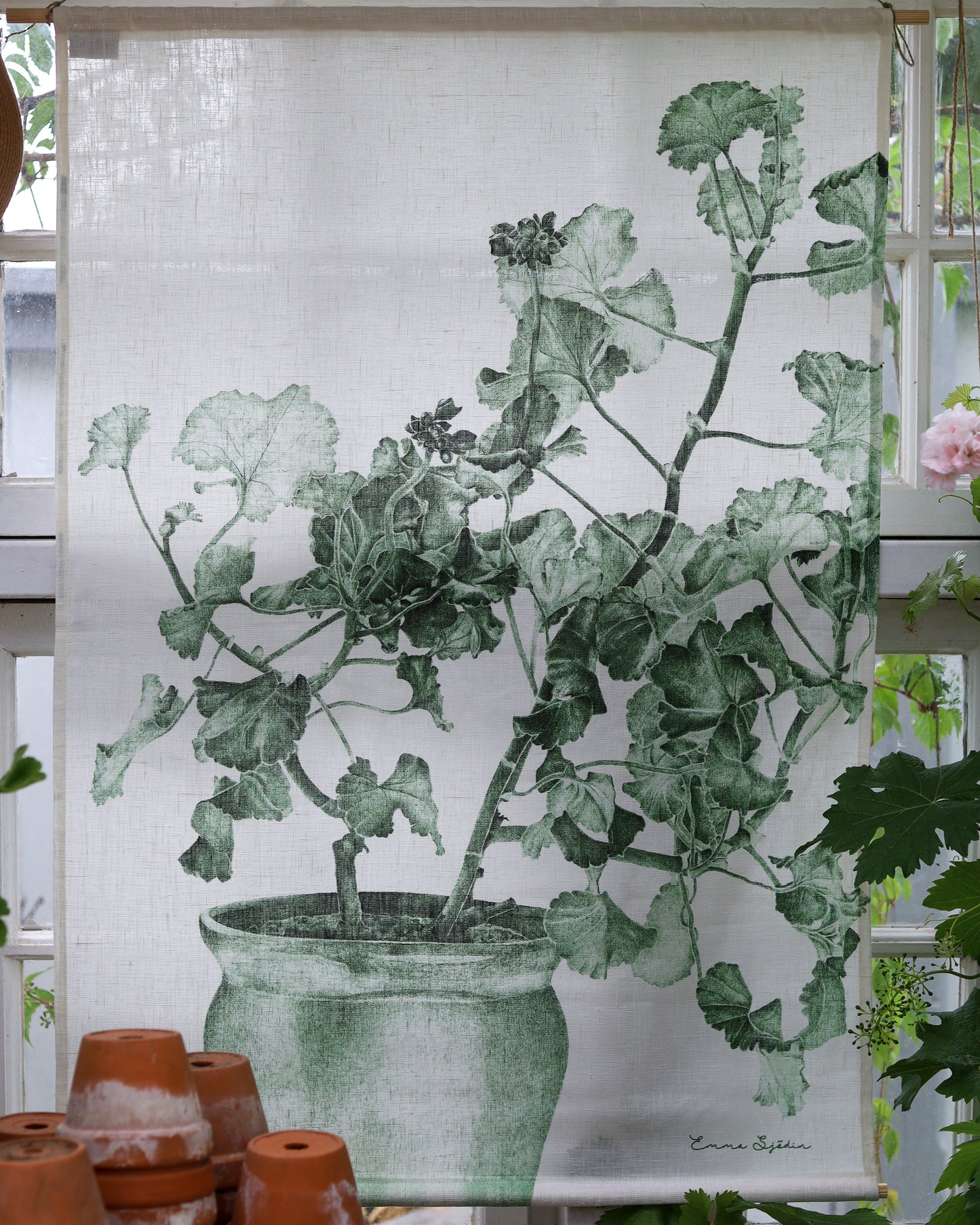 Wallhanging Green Geranium