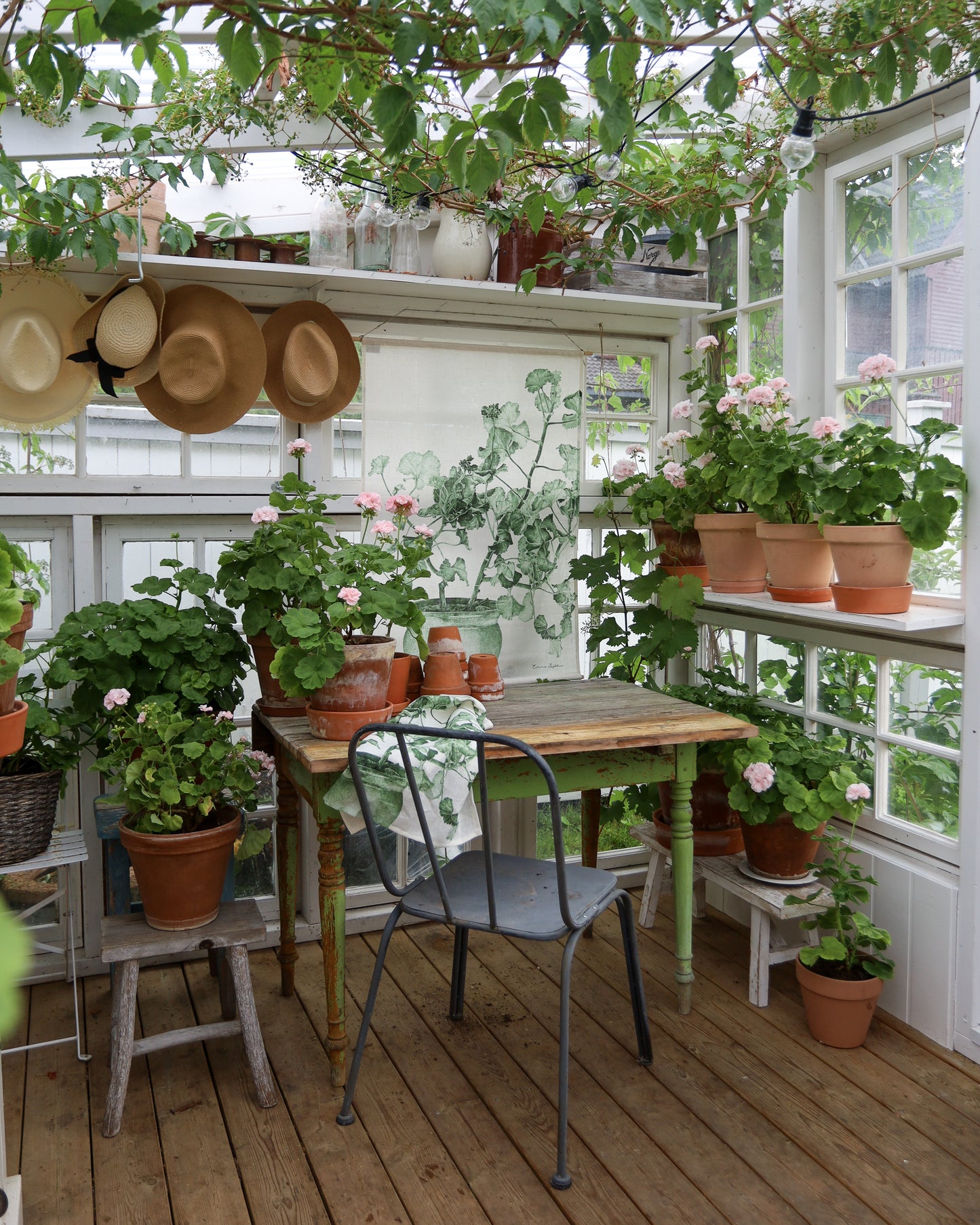 Wallhanging Green Geranium