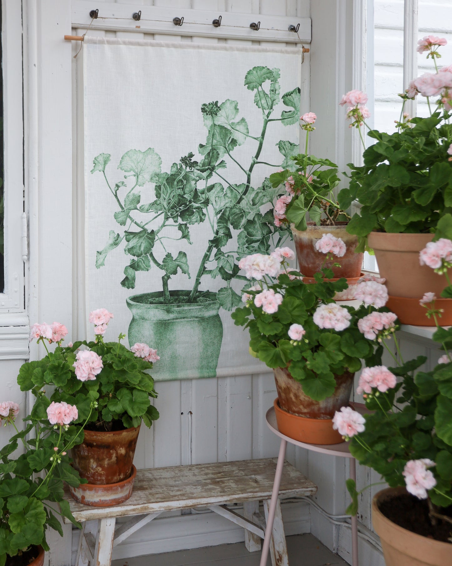 Wallhanging Green Geranium