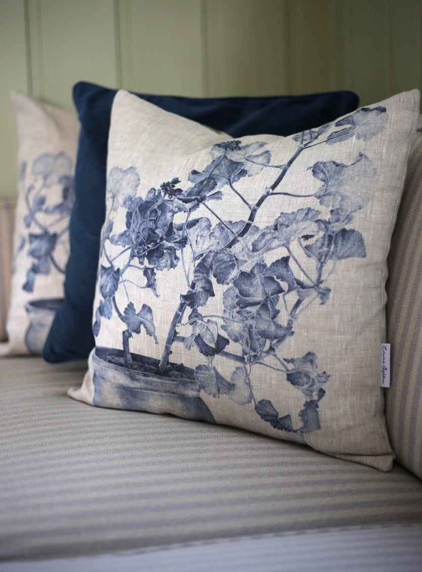 Cushion Geranium