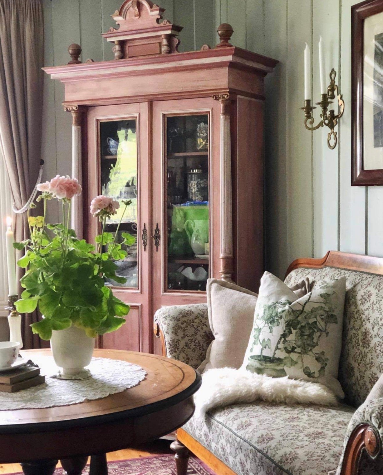 Cushion Geranium