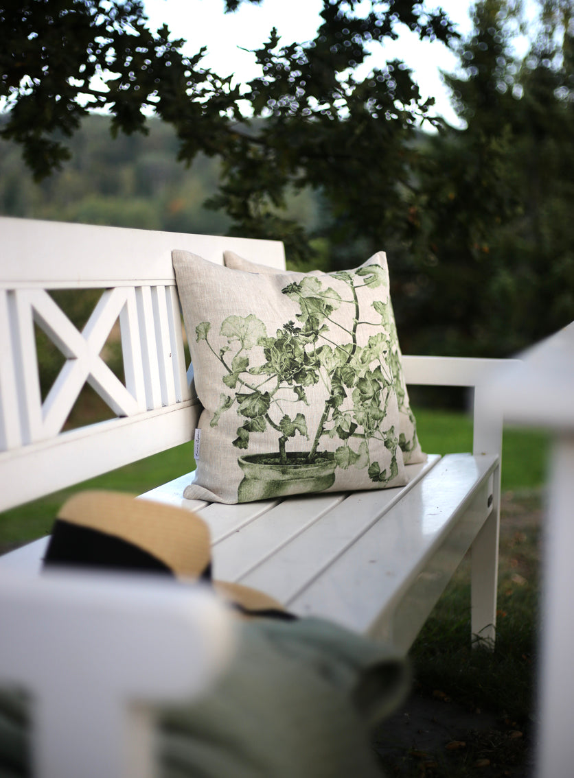 Cushion Geranium