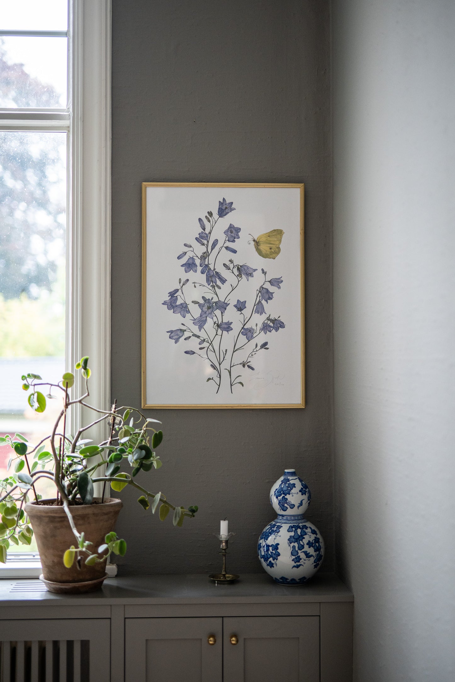 Art Print Bellflower 50x70