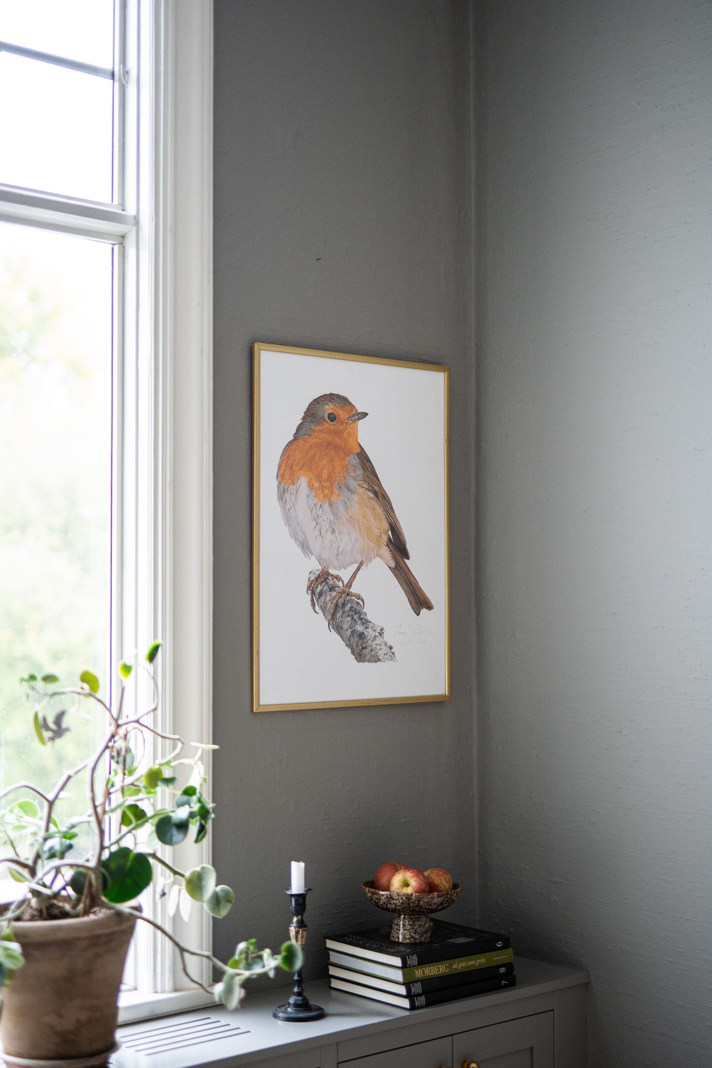 Art Print Red Robin 50x70