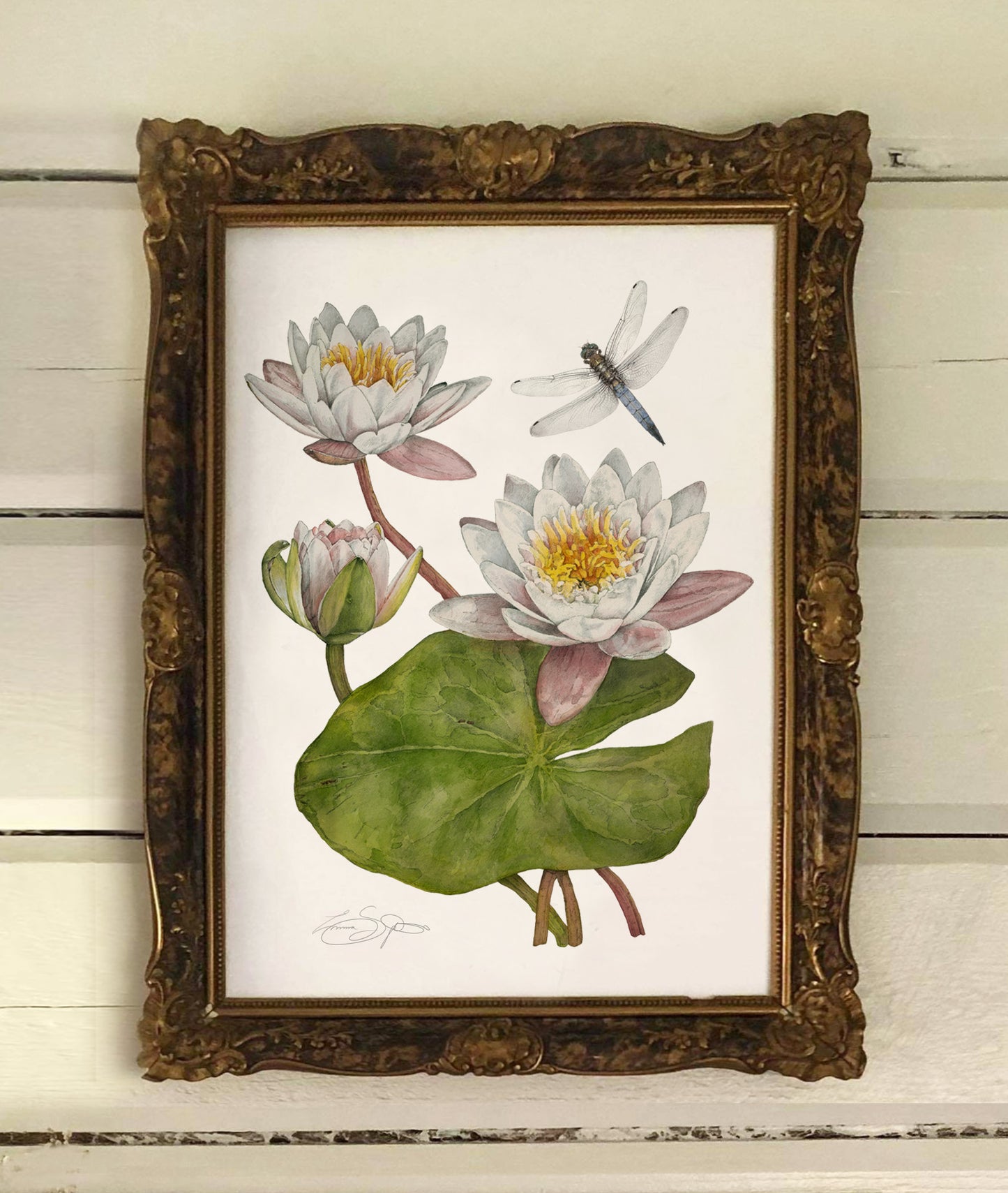 Art Print Waterlilly 30x40