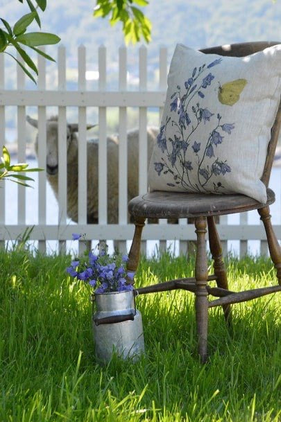 Cushion Bellflower