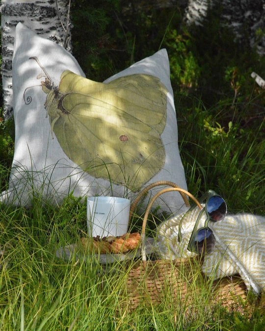 Cushion Bellflower
