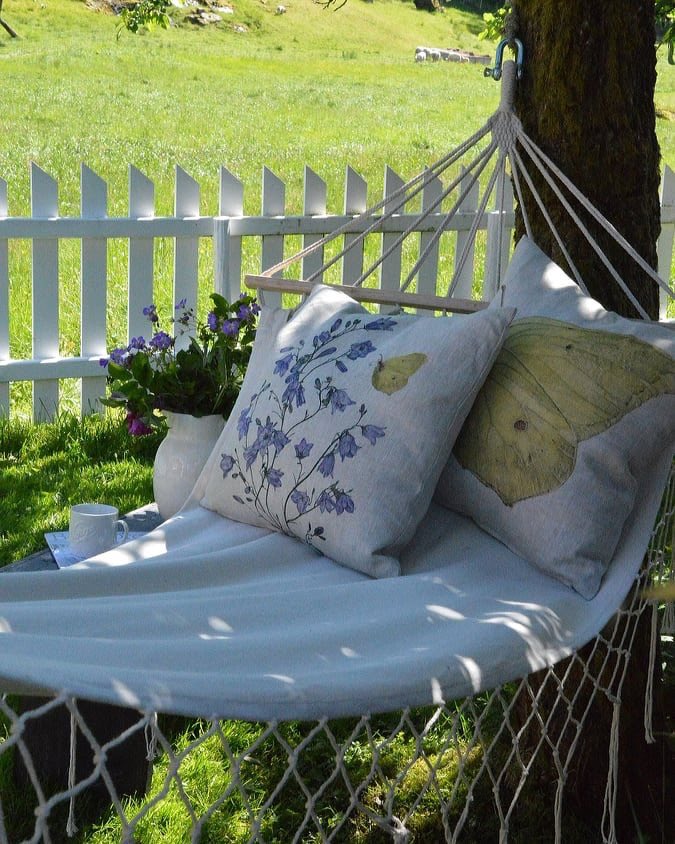 Cushion Bellflower