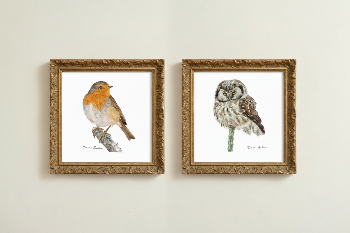 Rödhake och uggla i matchande guldramar