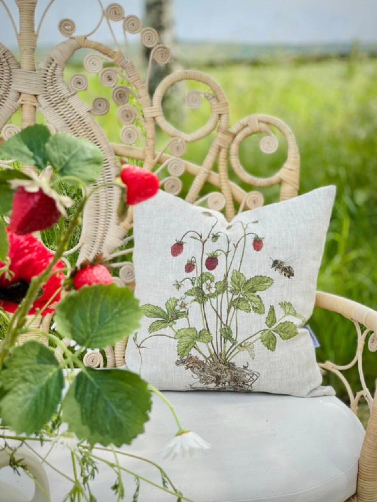 Cushion Strawberries